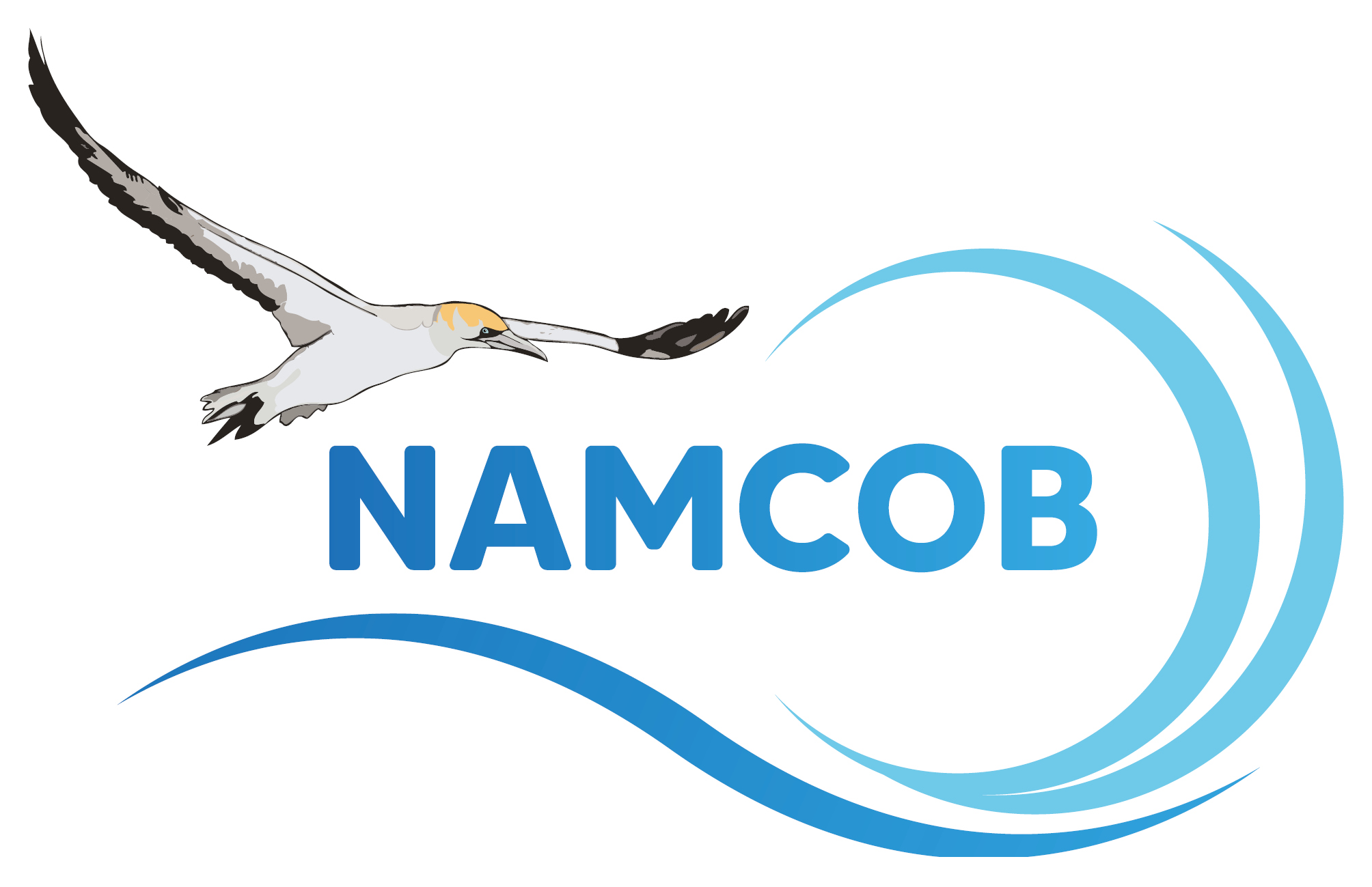 NAMCOB logofinal