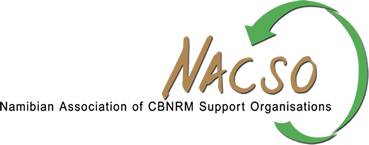 NACSO Logo WHT BG 369